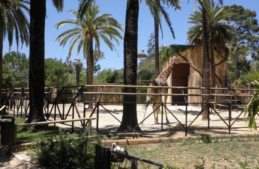 Zoobotánico Jerez, Spain